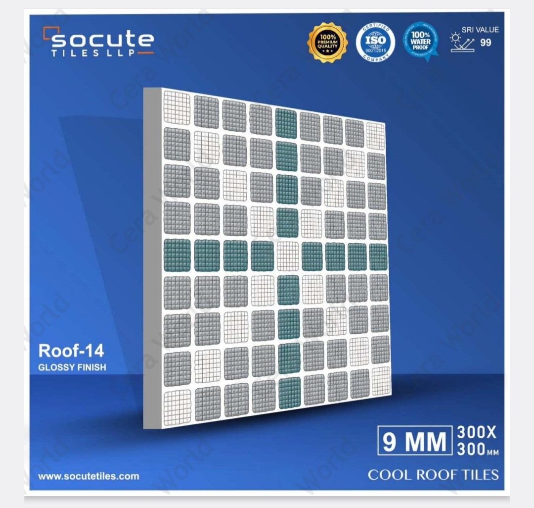 products/ROOF 14.jpg